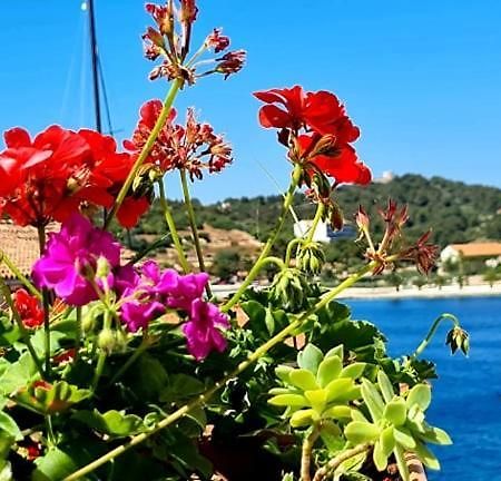 Bed & Breakfast Dionis Vis Exterior foto